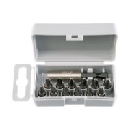 Seturi de 12 bits  Universal Industrial, Slot, Pozidriv, Philips cu cap magnetic de prindere, Felo