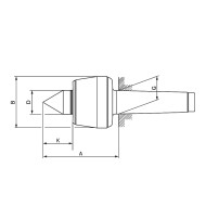 Varfuri de centrare rotative, FORMAT